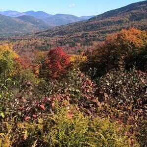 Meet your Posher, Stefanie